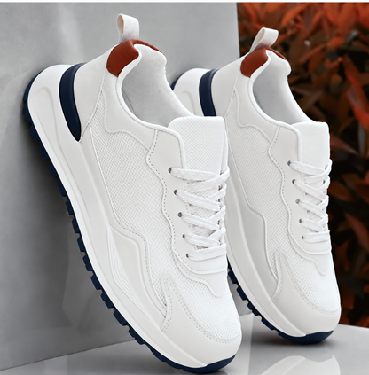 Elegant Shoes Limited Edition
