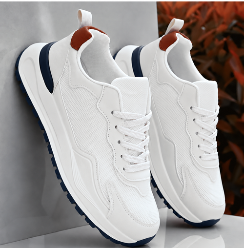 Elegant Shoes Limited Edition